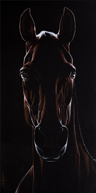 horse portrait